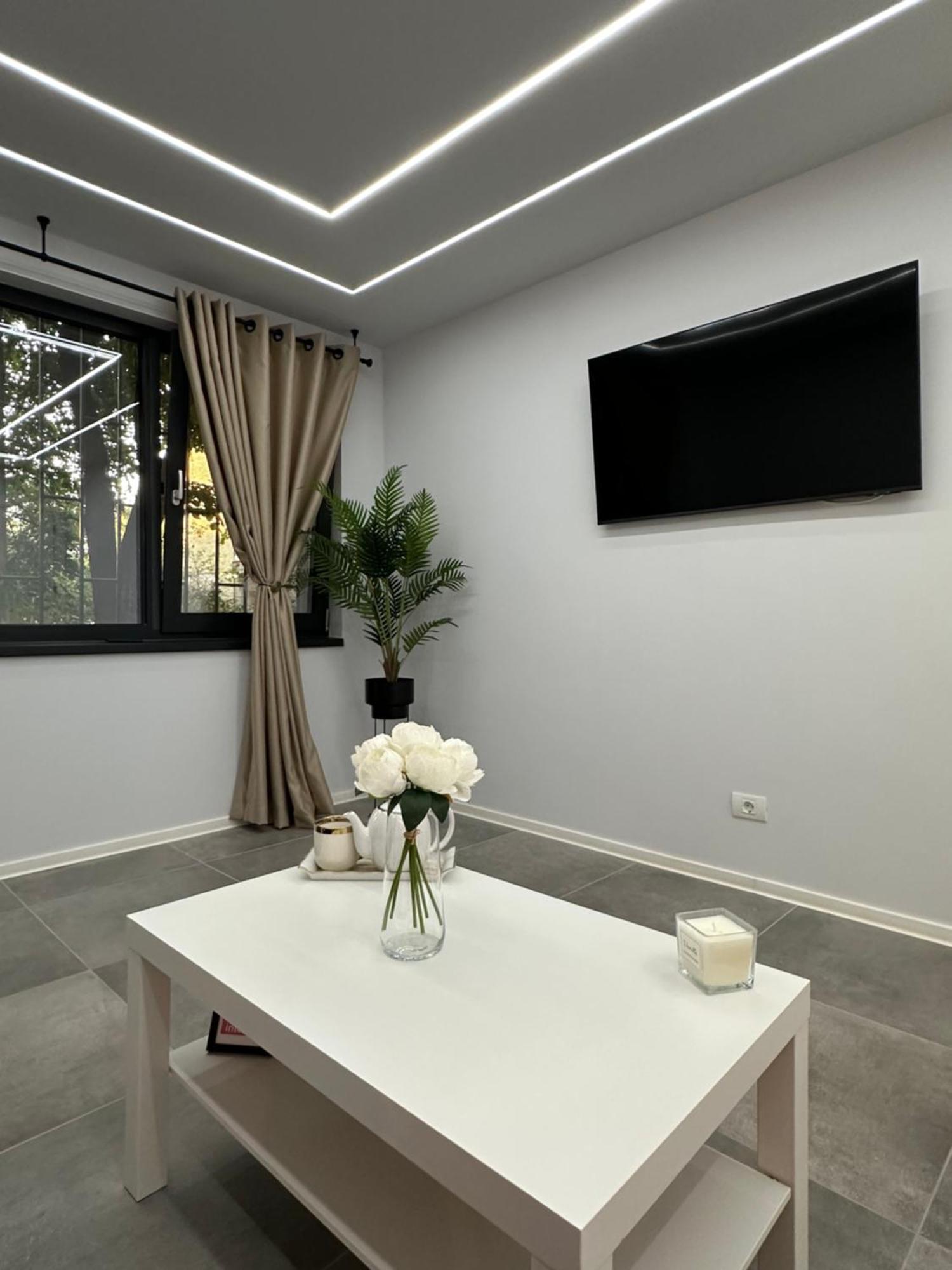 Ppu Home Тимишоара Экстерьер фото