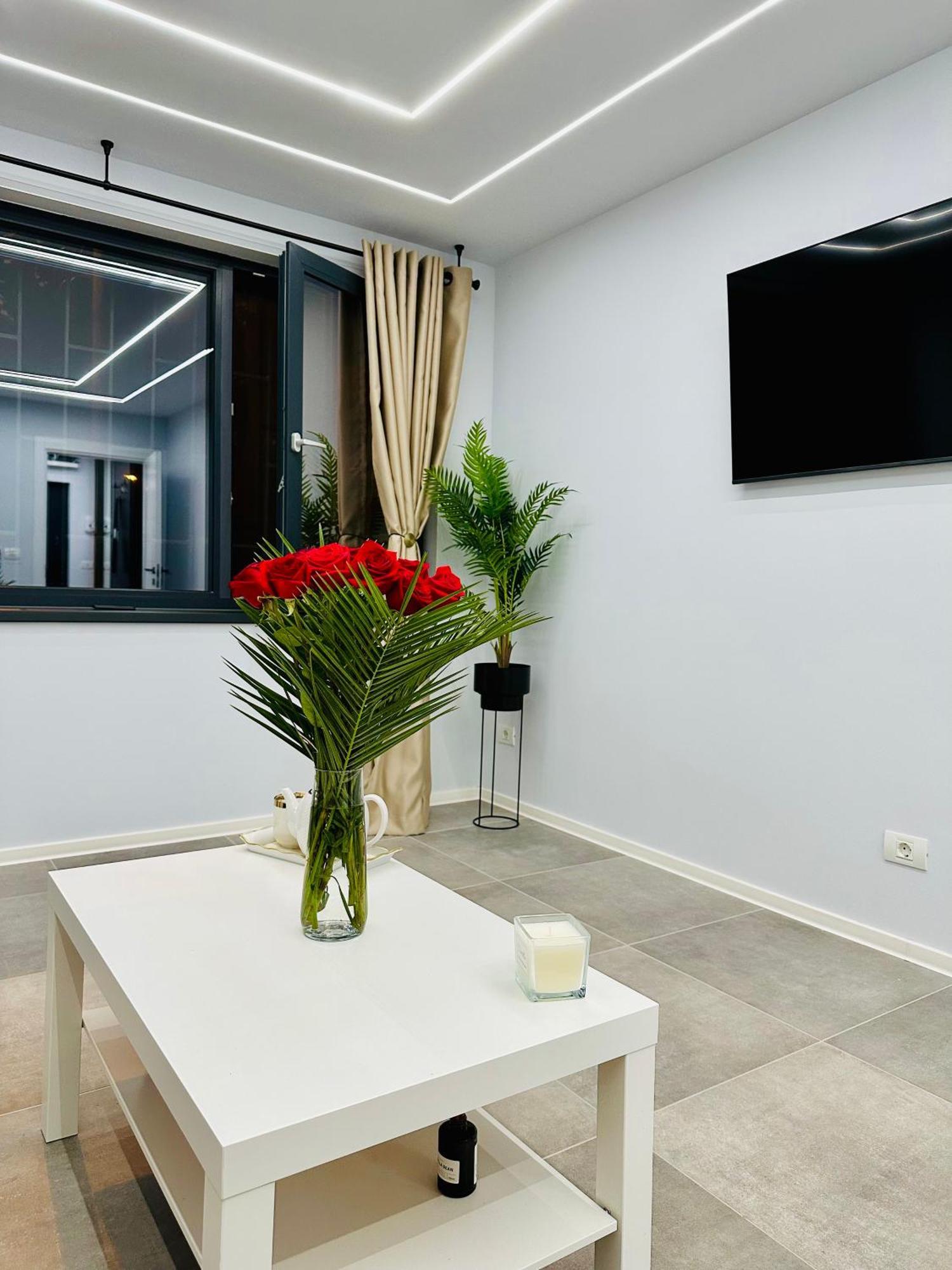 Ppu Home Тимишоара Экстерьер фото
